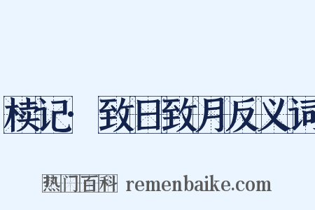 椟记·致日致月反义词是什么意思的图片